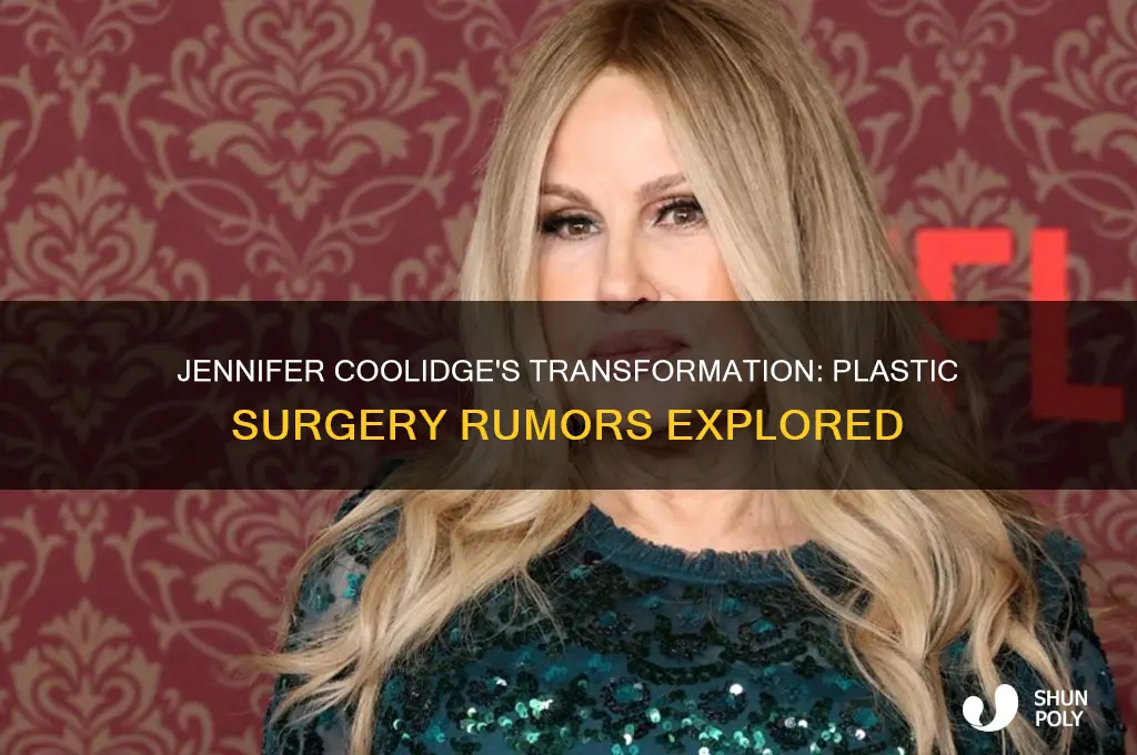 did jennifer coolidge get plastic surgery