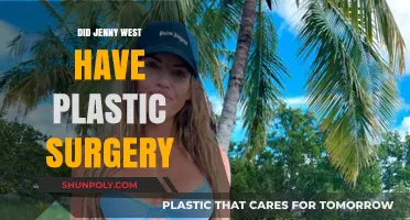 Jenny West's Transformation: Plastic Surgery Rumors Explored and Analyzed