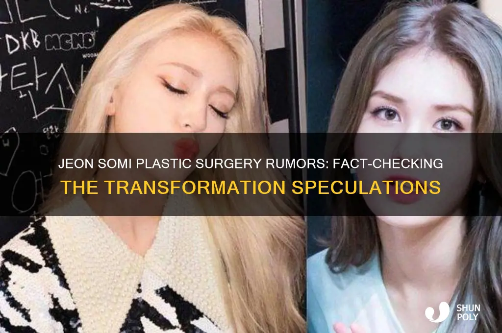 did jeon somi get plastic surgery