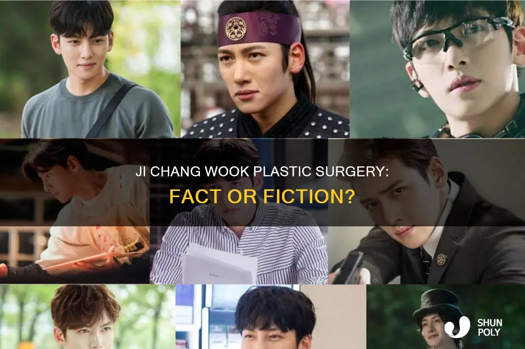 did ji chang wook done plastic surgery