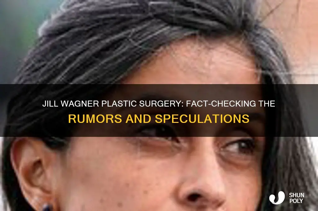 did jill wagner have plastic surgery