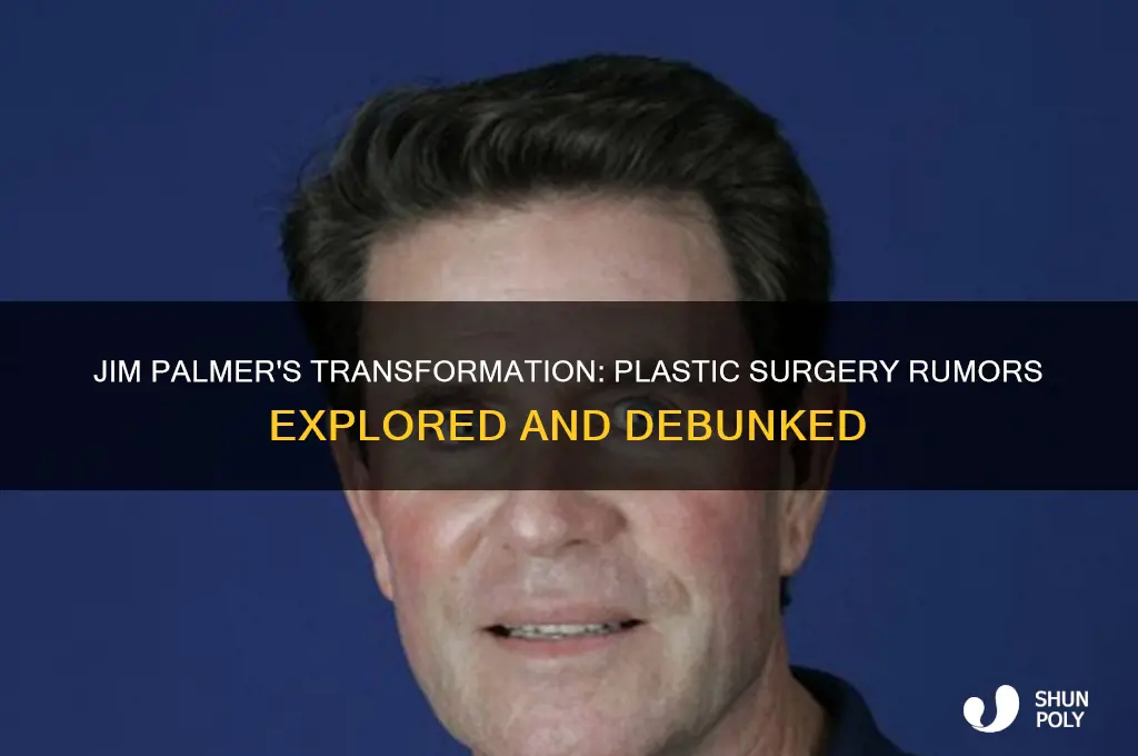 did jim palmer have plastic surgery