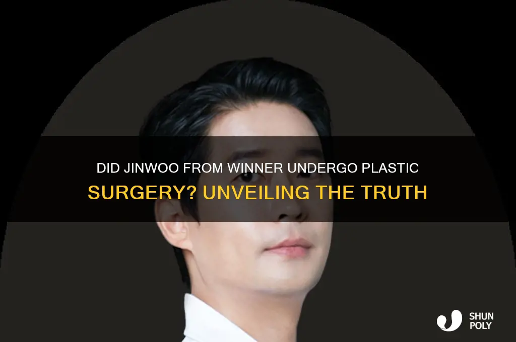 did jinwoo from winner get plastic surgery