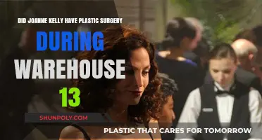 Joanne Kelly's Warehouse 13 Transformation: Plastic Surgery Speculation