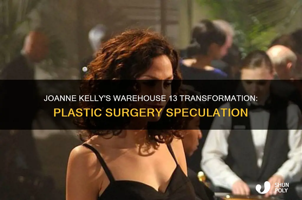 did joanne kelly have plastic surgery during warehouse 13