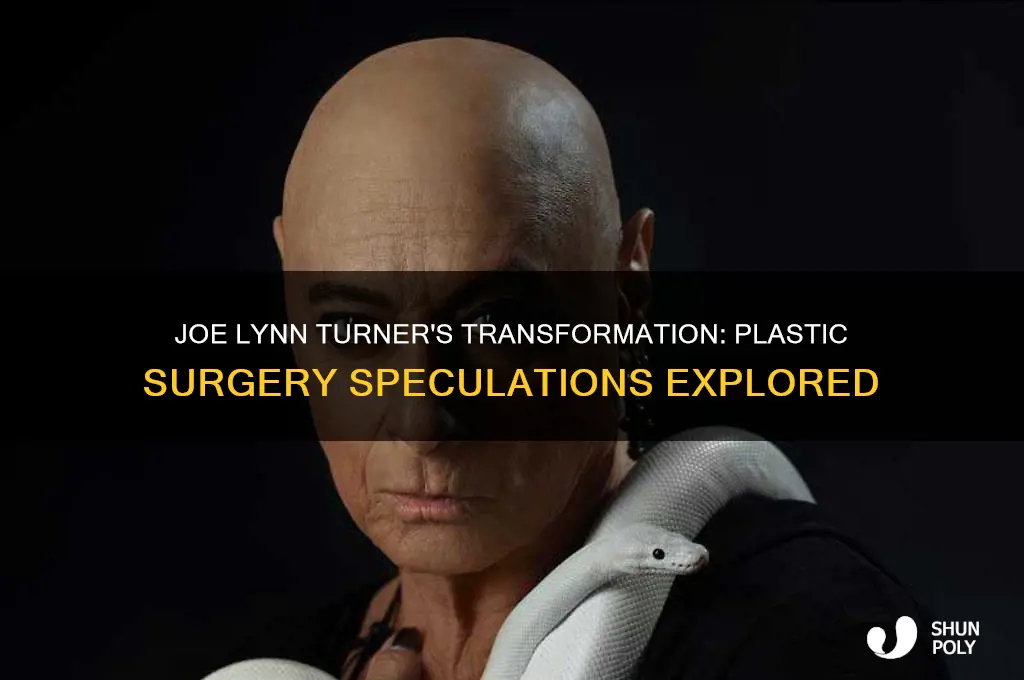 did joe lynn turner get plastic surgery