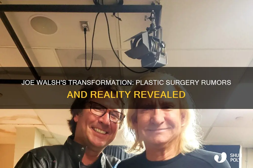did joe walsh have plastic surgery