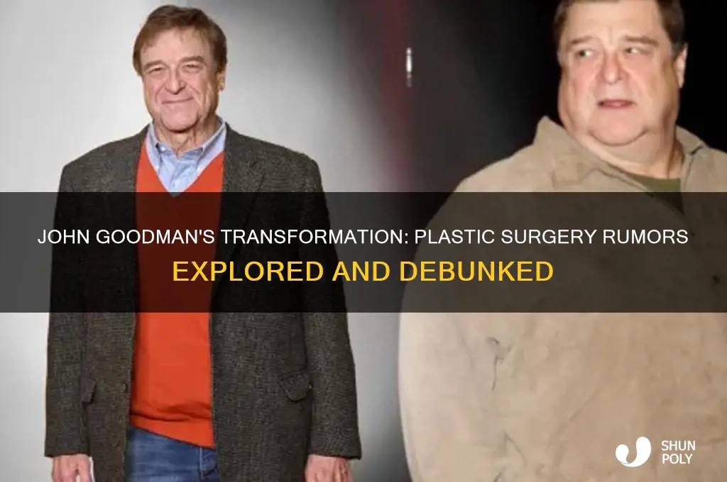 did john goodman have plastic surgery