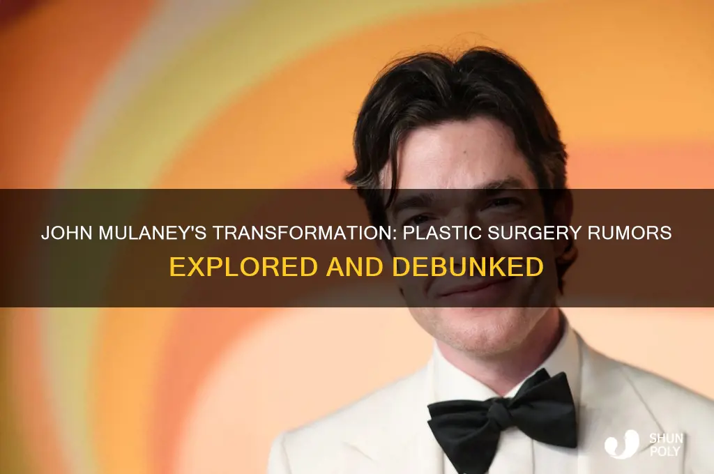 did john mulaney have plastic surgery