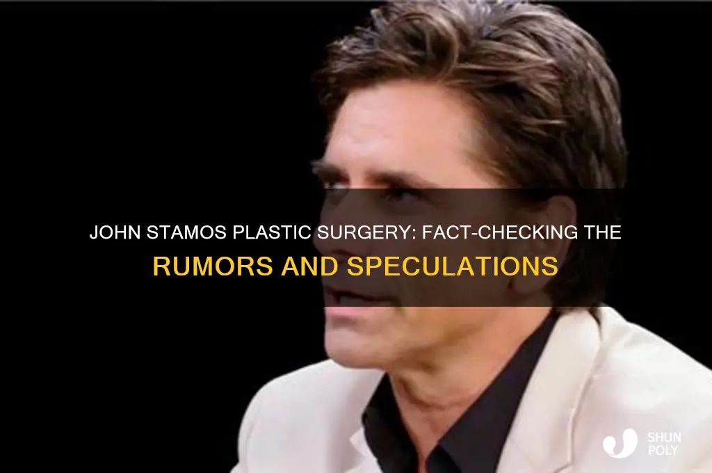 did john stamos get plastic surgery