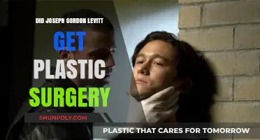 Joseph Gordon-Levitt's Transformation: Plastic Surgery Rumors Explored