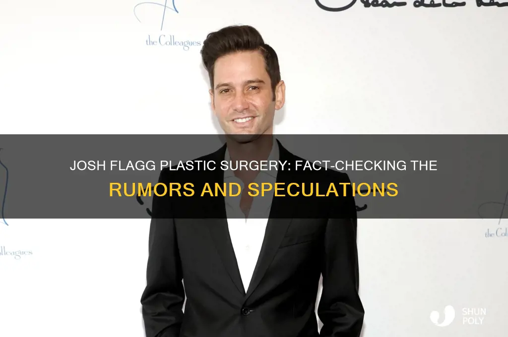 did josh flagg get plastic surgery