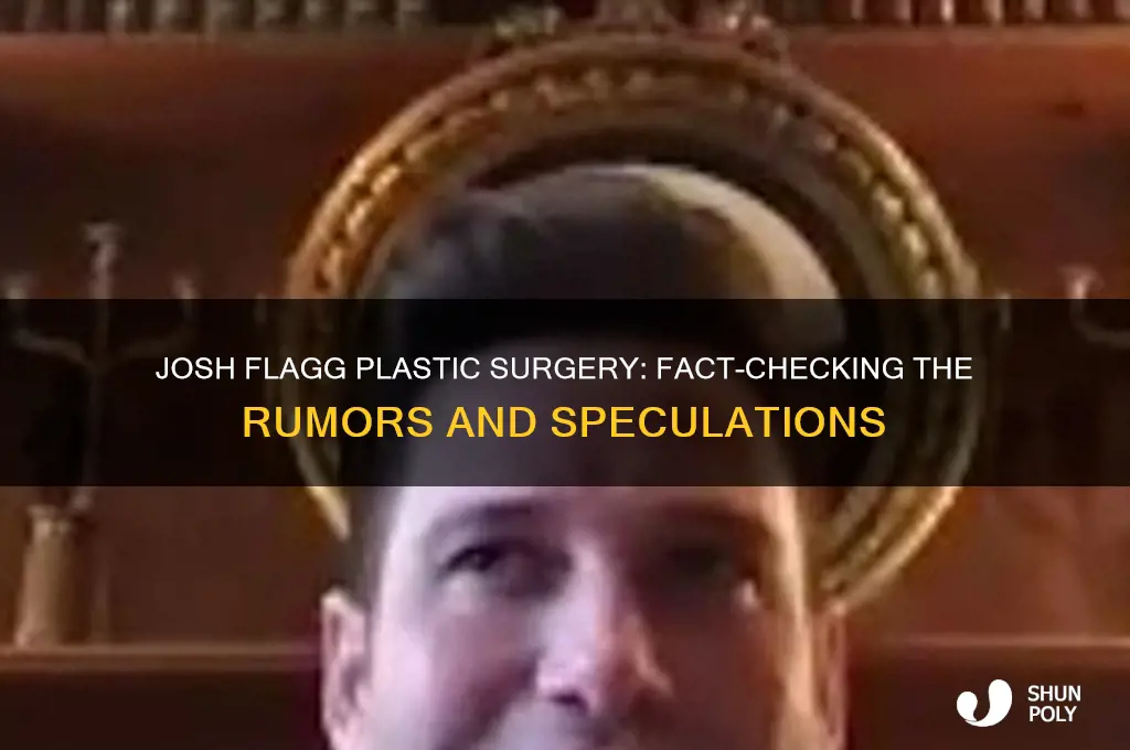 did josh flagg have plastic surgery