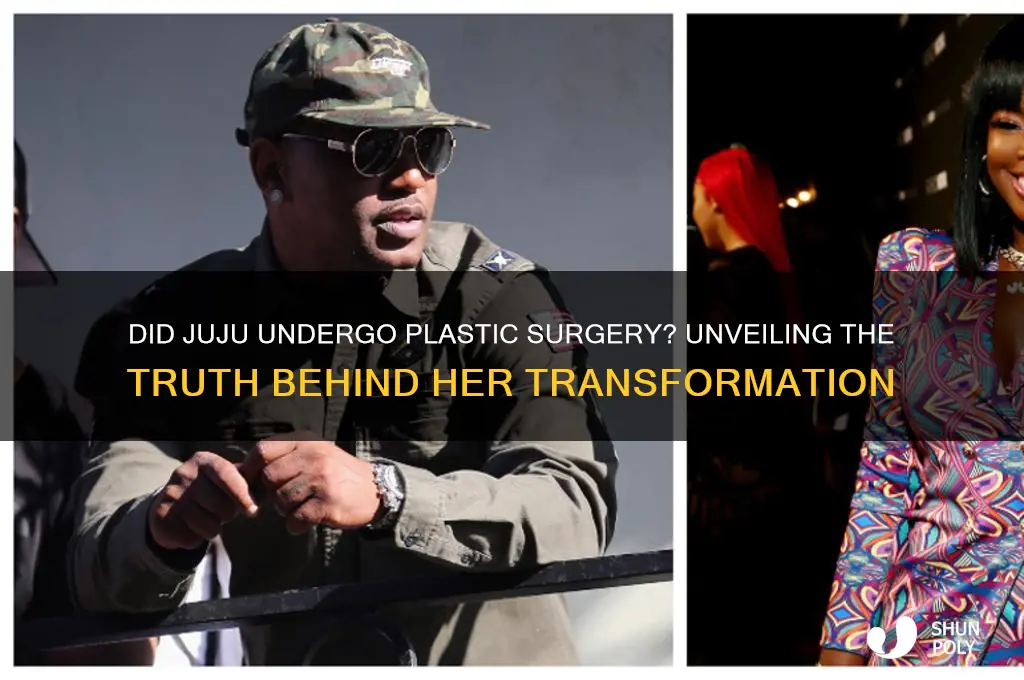 did juju get plastic surgery
