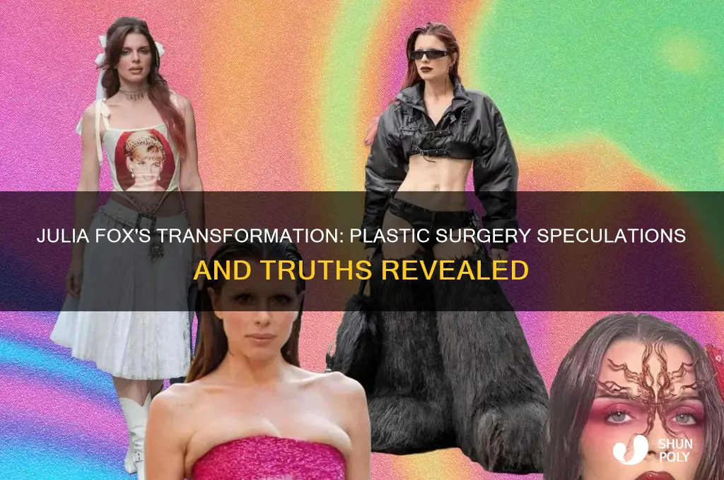 did julia fox get plastic surgery