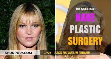Julia Stiles Plastic Surgery: Fact-Checking the Rumors and Speculations