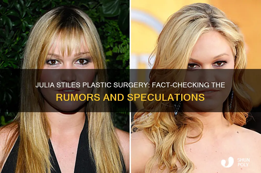 did julia stiles have plastic surgery