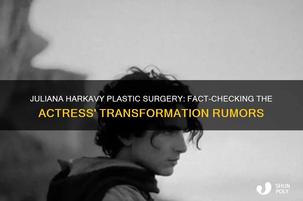 did juliana harkavy have plastic surgery