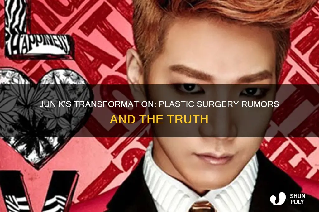 did jun k have plastic surgery