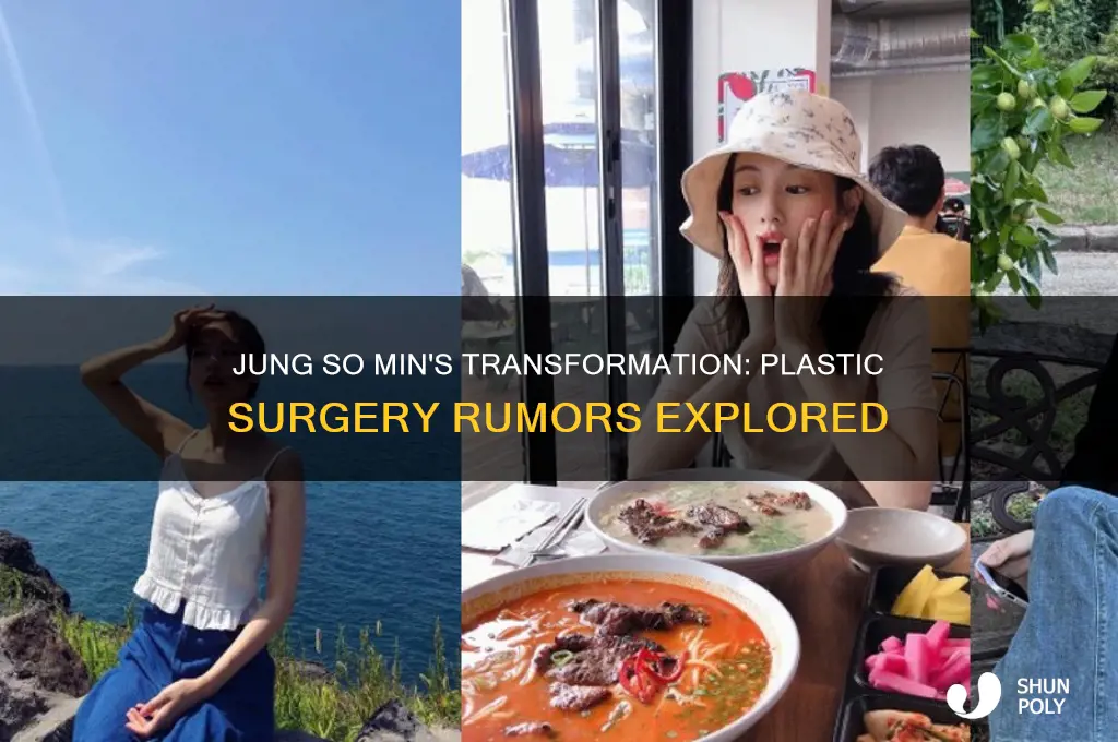 did jung so min do plastic surgery