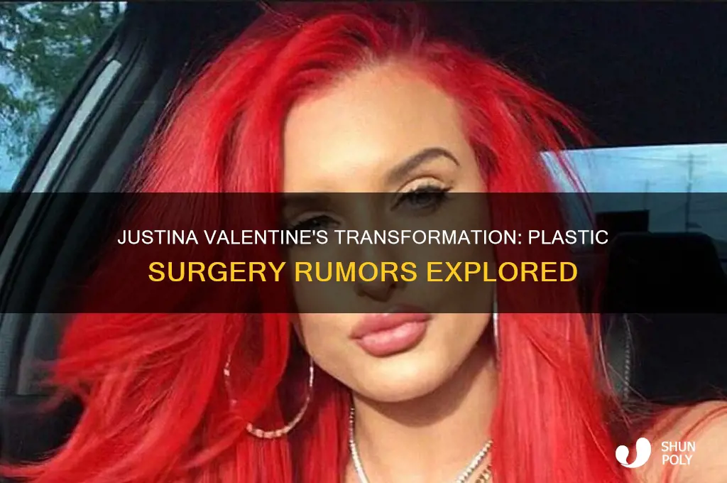 did justina valentine get plastic surgery
