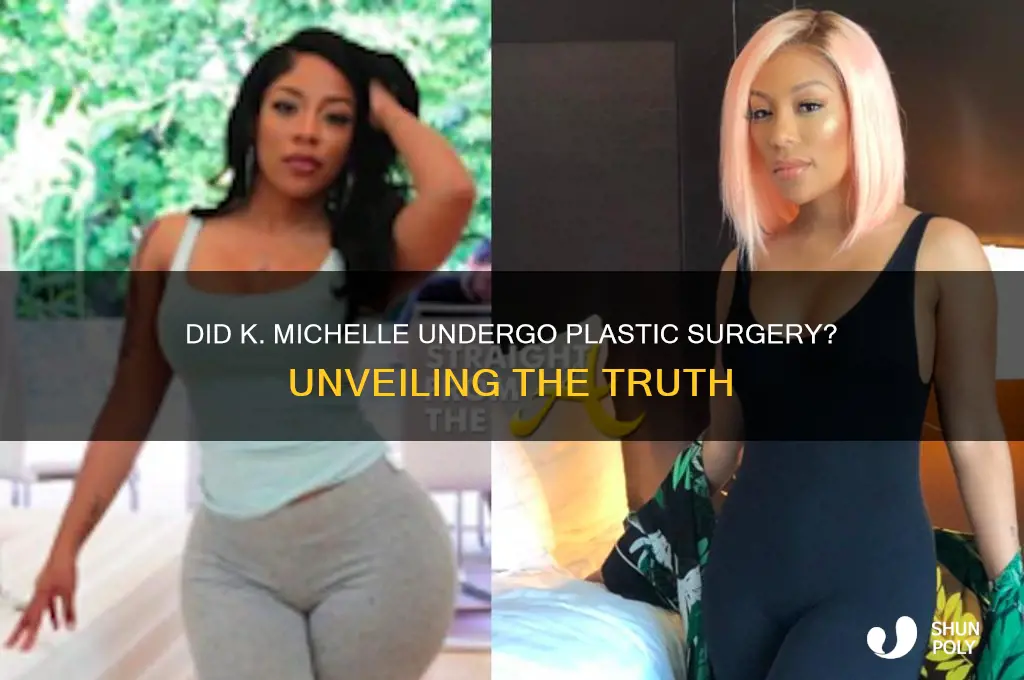did k michelle get plastic surgery