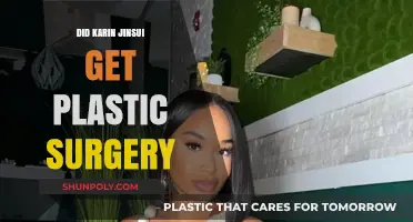 Karin Jinsui Plastic Surgery: Fact-Checking the Rumors and Speculations