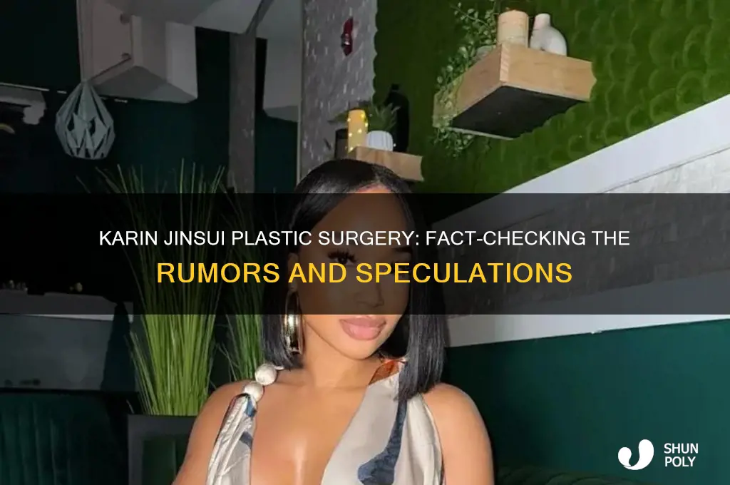 did karin jinsui get plastic surgery