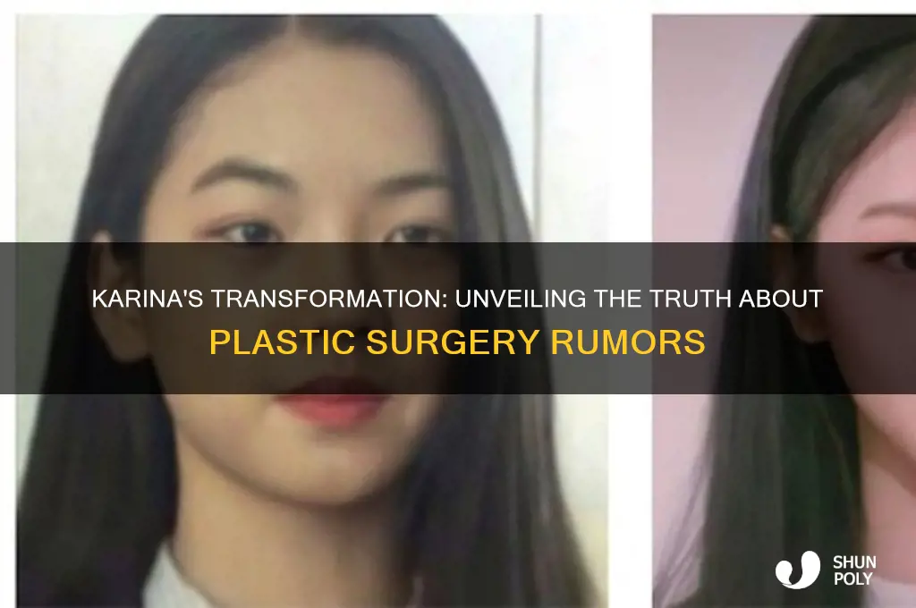 did karina get plastic surgery