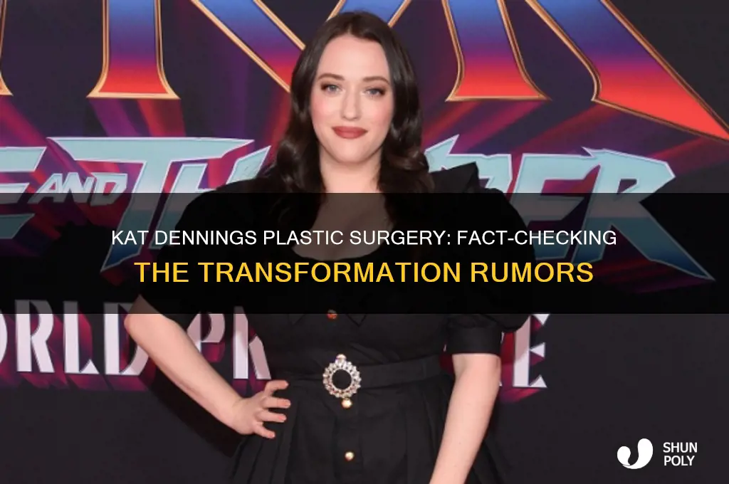 did kat dennings get plastic surgery