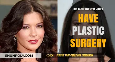 Katherine Zeta-Jones Plastic Surgery: Fact or Fiction? Unveiling the Truth