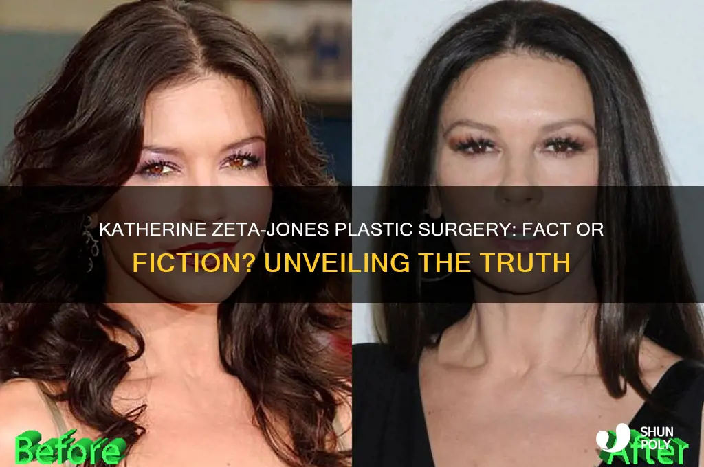 What No One Tells You About Katherine Zeta Jones And Michael Douglas