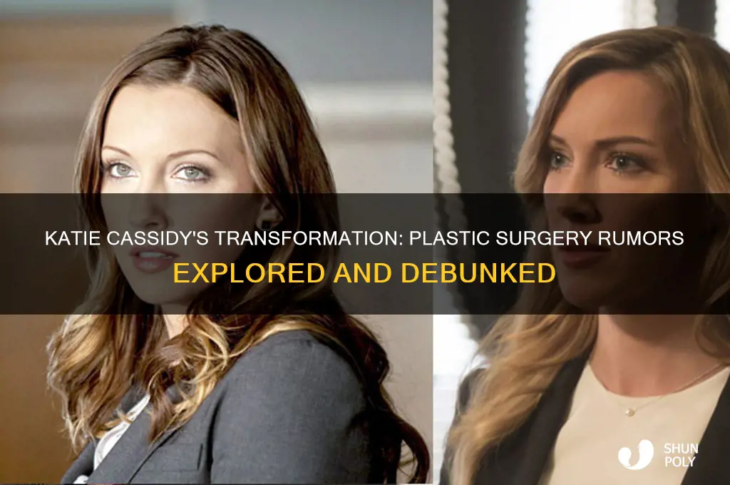 did katie cassidy get plastic surgery