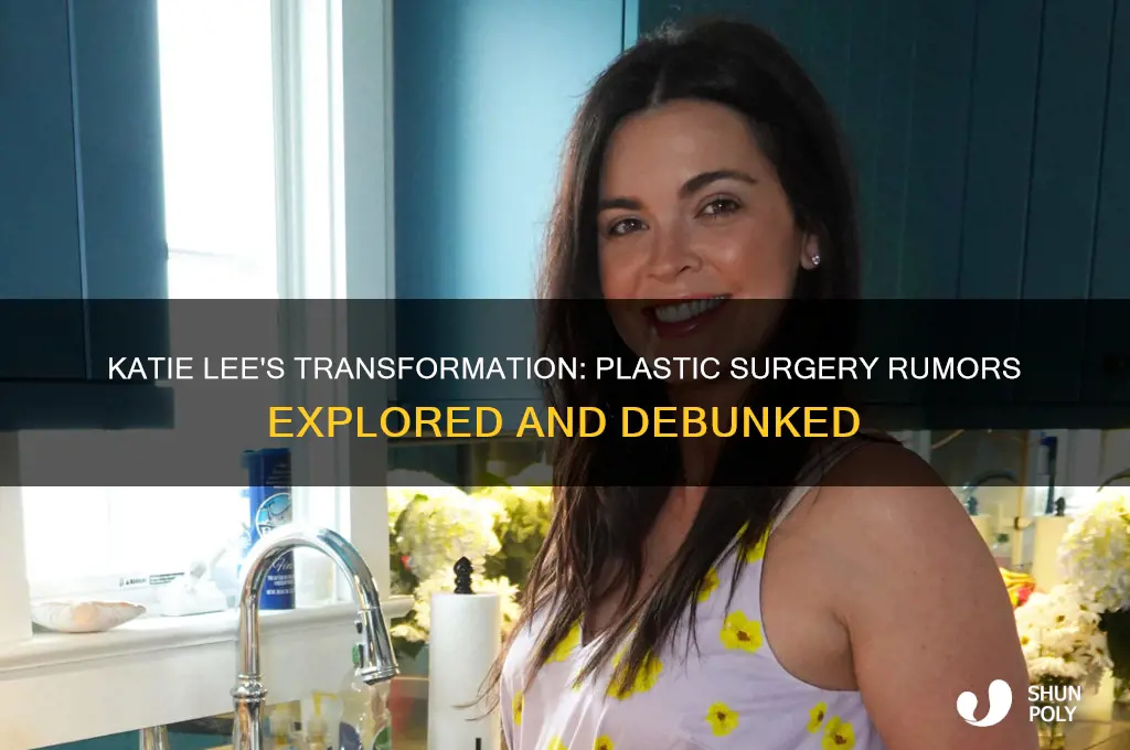 did katie lee have plastic surgery