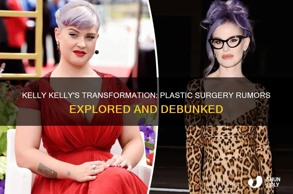 did kelly kelly get plastic surgery