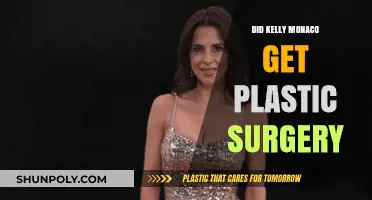 Kelly Monaco's Transformation: Plastic Surgery Rumors Explored and Debunked