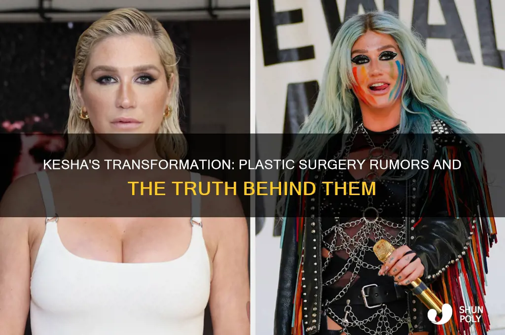 did kesha have plastic surgery