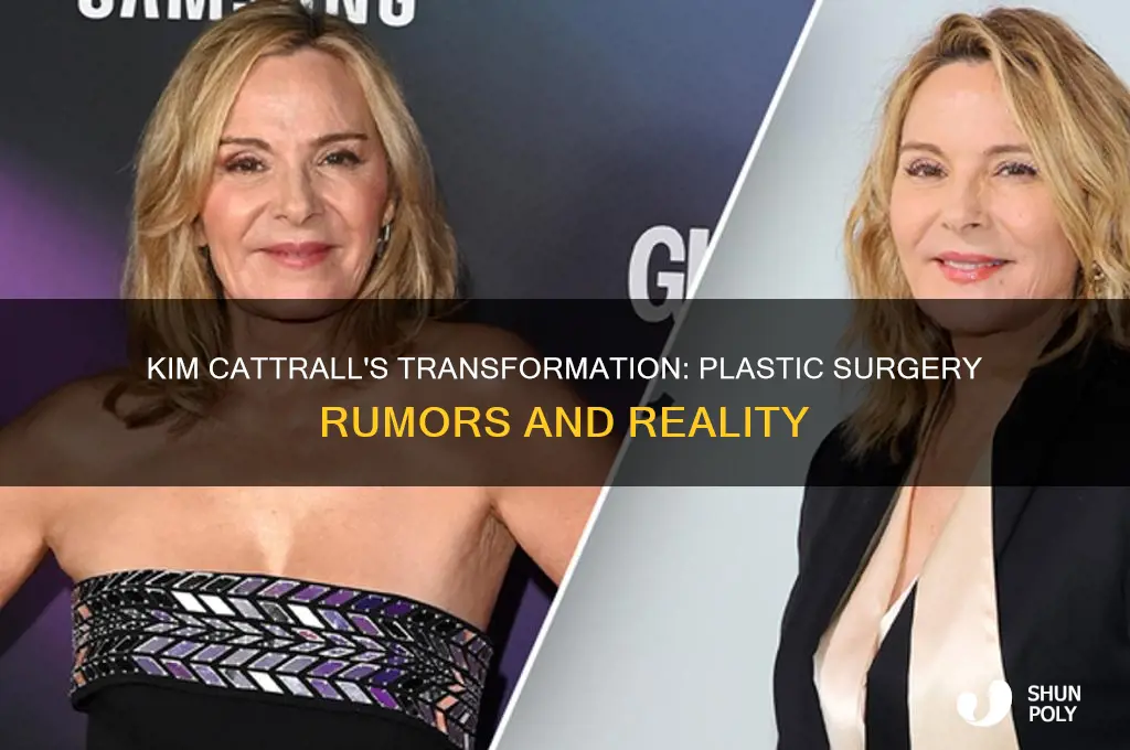 did kim catrall have plastic surgery
