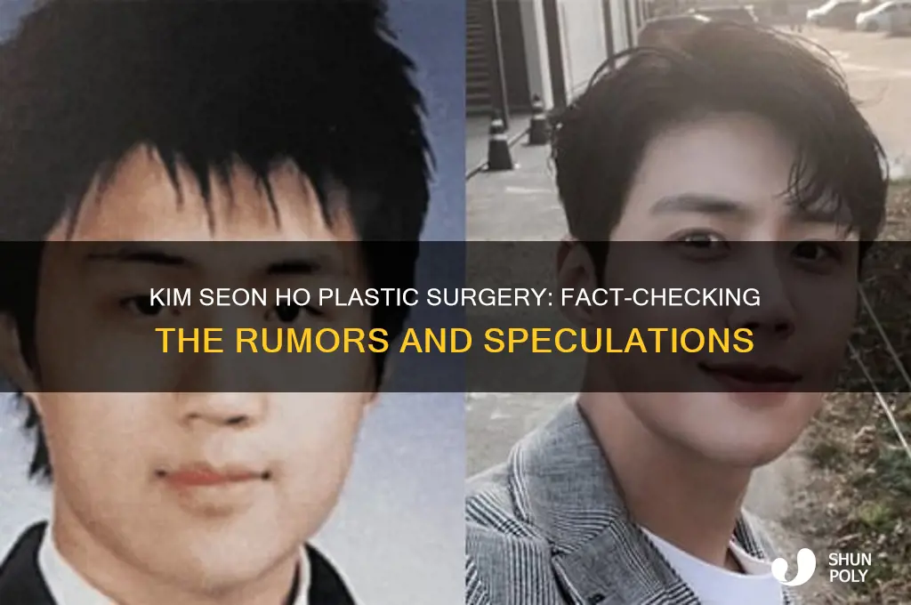 did kim seon ho get plastic surgery