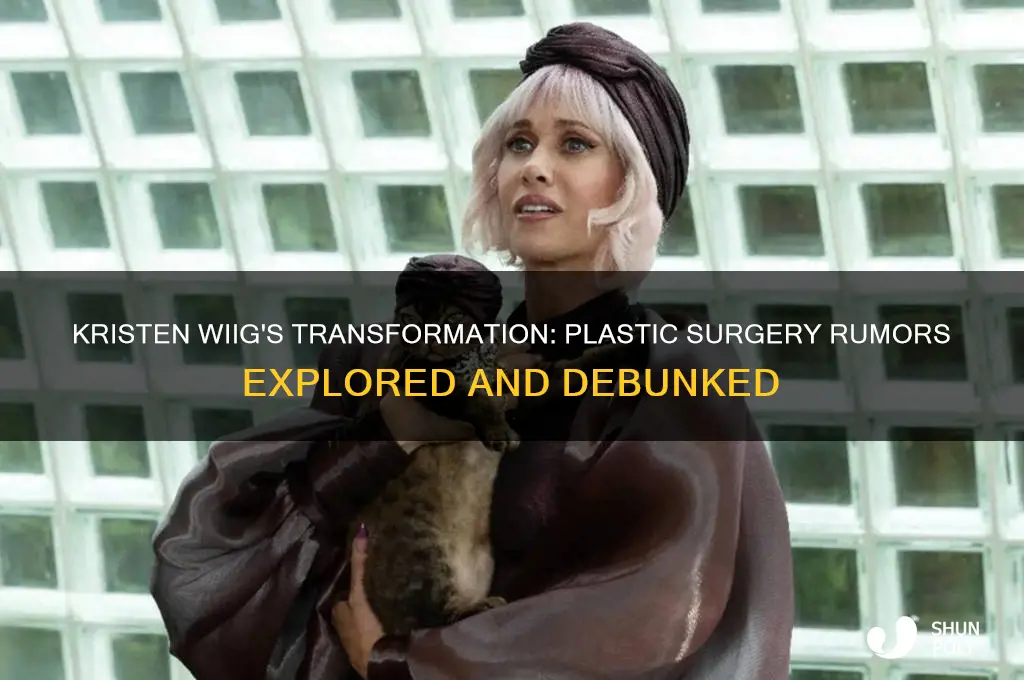 did kristen wiig get plastic surgery