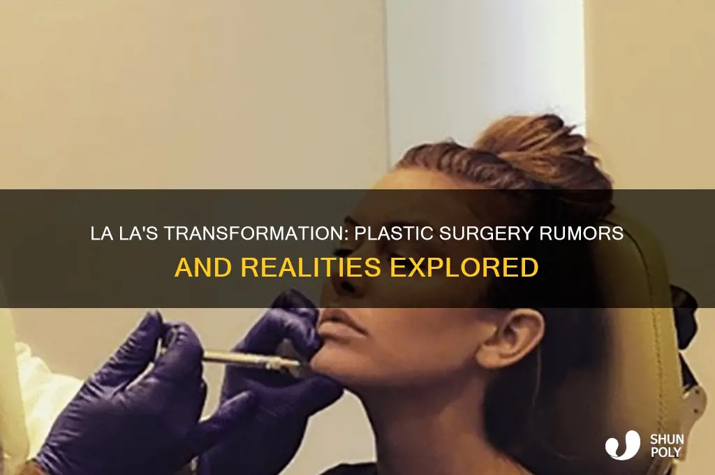 did la la get plastic surgery