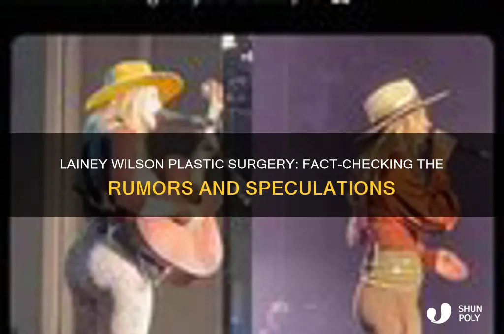 did lainey wilson get plastic surgery