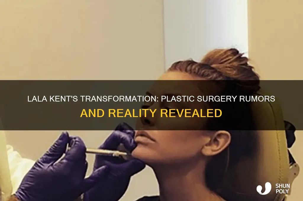 did lala kent have plastic surgery