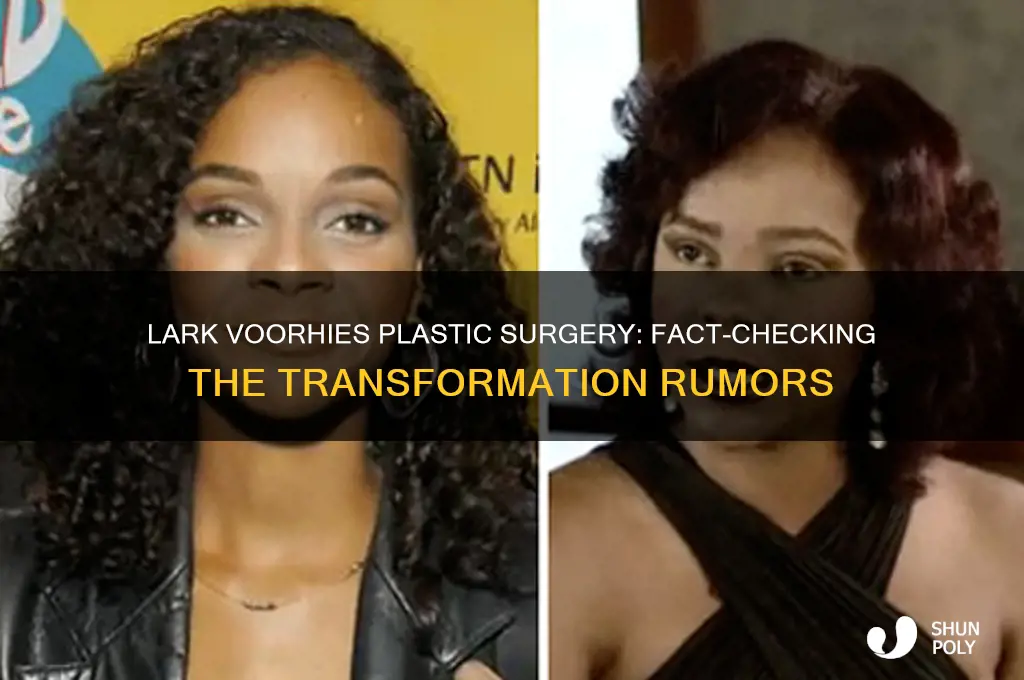 did lark voorhies have plastic surgery