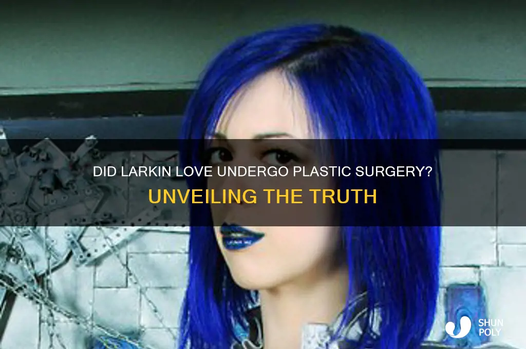 did larkin love get plastic surgery