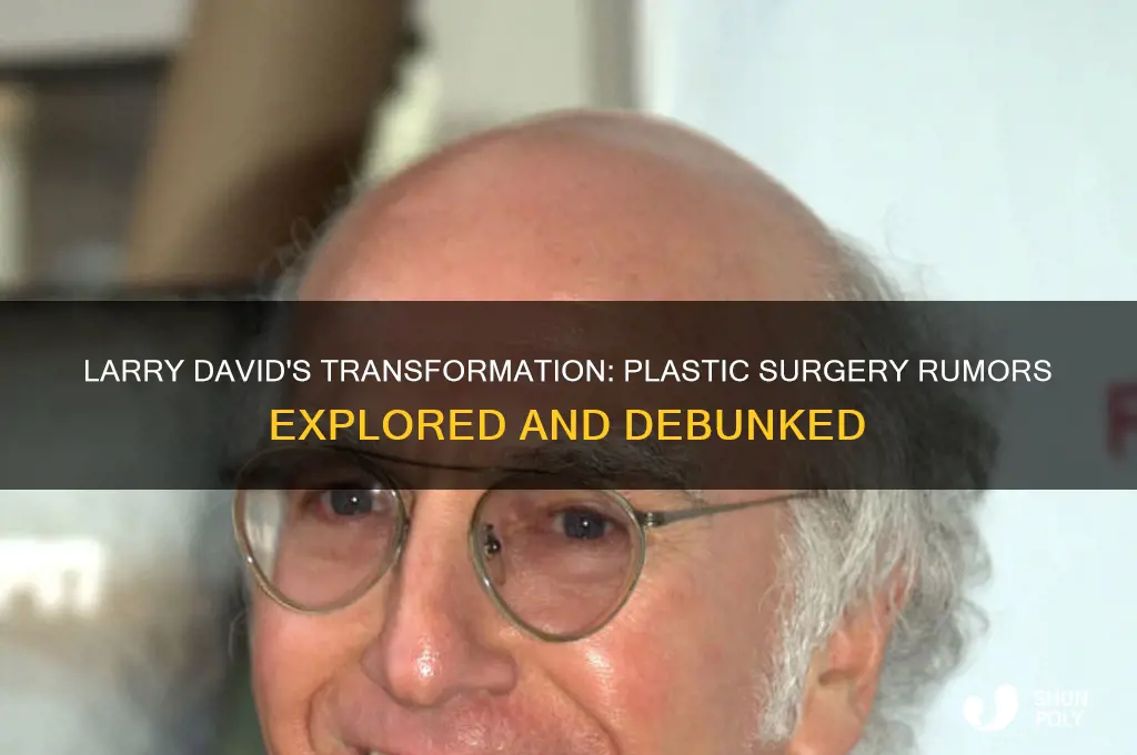 did larry david get plastic surgery