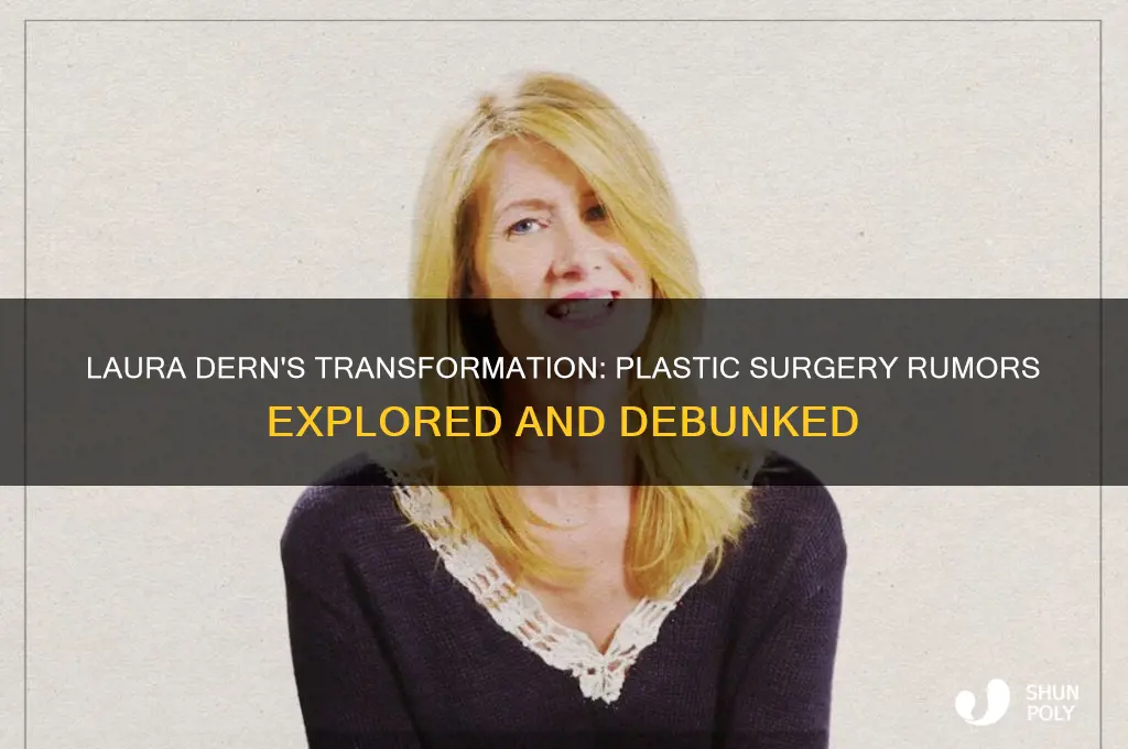 did laura dern get plastic surgery