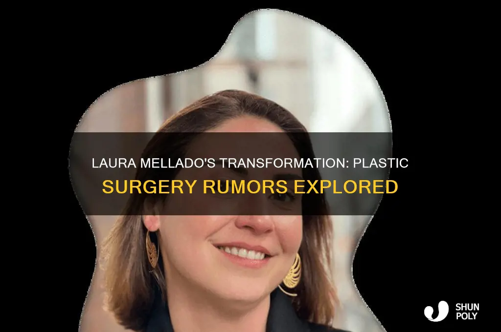 did laura mellado get plastic surgery