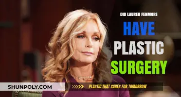 Lauren Fenmore's Transformation: Plastic Surgery Rumors Explored