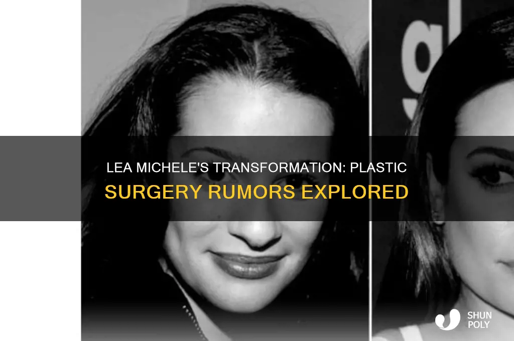 did lea michele get plastic surgert